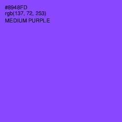 #8948FD - Medium Purple Color Image