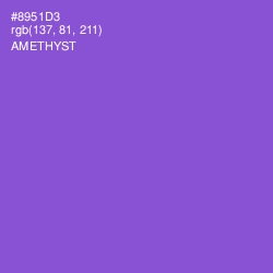 #8951D3 - Amethyst Color Image