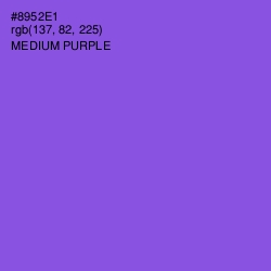 #8952E1 - Medium Purple Color Image