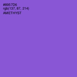 #8957D6 - Amethyst Color Image