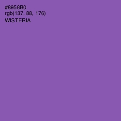 #8958B0 - Wisteria Color Image