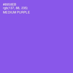 #8958EB - Medium Purple Color Image