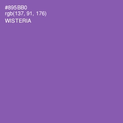 #895BB0 - Wisteria Color Image