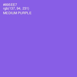 #895EE7 - Medium Purple Color Image