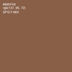 #895F48 - Spicy Mix Color Image