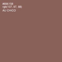 #896158 - Au Chico Color Image
