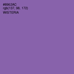 #8962AC - Wisteria Color Image