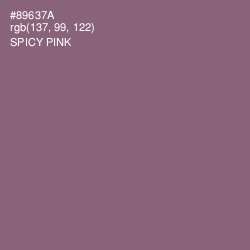 #89637A - Spicy Pink Color Image