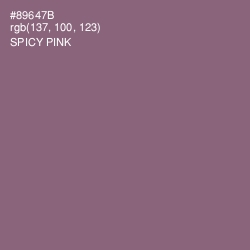 #89647B - Spicy Pink Color Image