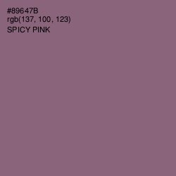 #89647B - Spicy Pink Color Image