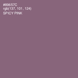 #89657C - Spicy Pink Color Image