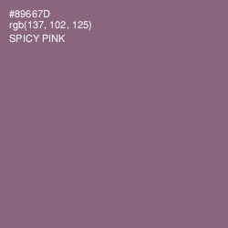 #89667D - Spicy Pink Color Image