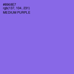 #8968E7 - Medium Purple Color Image