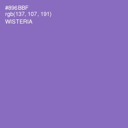 #896BBF - Wisteria Color Image