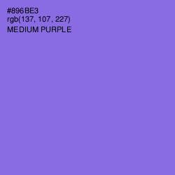 #896BE3 - Medium Purple Color Image