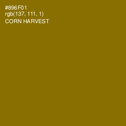 #896F01 - Corn Harvest Color Image