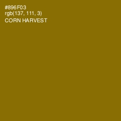 #896F03 - Corn Harvest Color Image