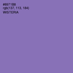 #8971B8 - Wisteria Color Image