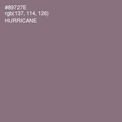 #89727E - Hurricane Color Image