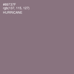 #89737F - Hurricane Color Image