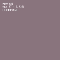 #89747E - Hurricane Color Image