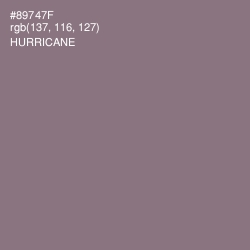 #89747F - Hurricane Color Image