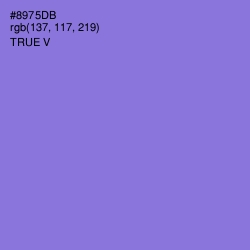 #8975DB - True V Color Image