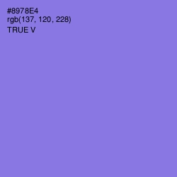 #8978E4 - True V Color Image