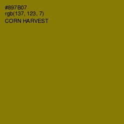 #897B07 - Corn Harvest Color Image