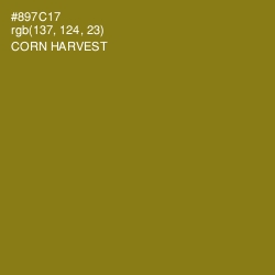 #897C17 - Corn Harvest Color Image