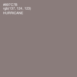 #897C7B - Hurricane Color Image