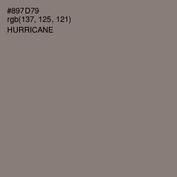 #897D79 - Hurricane Color Image