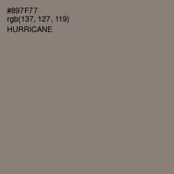 #897F77 - Hurricane Color Image