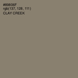 #89806F - Clay Creek Color Image