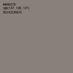 #898079 - Schooner Color Image