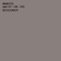 #89807D - Schooner Color Image