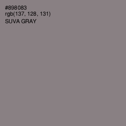 #898083 - Suva Gray Color Image