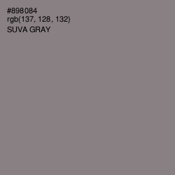 #898084 - Suva Gray Color Image