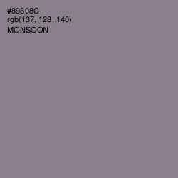 #89808C - Monsoon Color Image