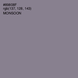 #89808F - Monsoon Color Image