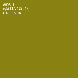 #898111 - Hacienda Color Image