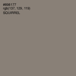 #898177 - Squirrel Color Image