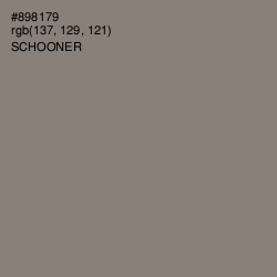 #898179 - Schooner Color Image