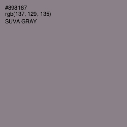 #898187 - Suva Gray Color Image