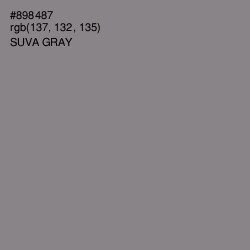 #898487 - Suva Gray Color Image