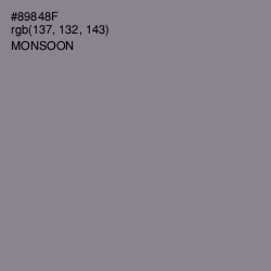 #89848F - Monsoon Color Image