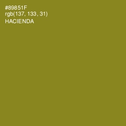 #89851F - Hacienda Color Image