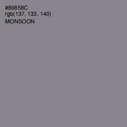 #89858C - Monsoon Color Image