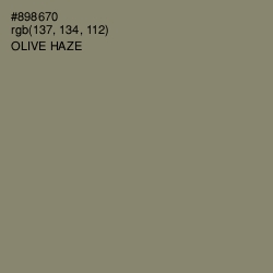 #898670 - Olive Haze Color Image