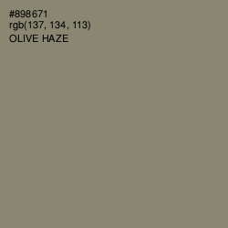 #898671 - Olive Haze Color Image